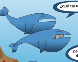 PQ_plancton